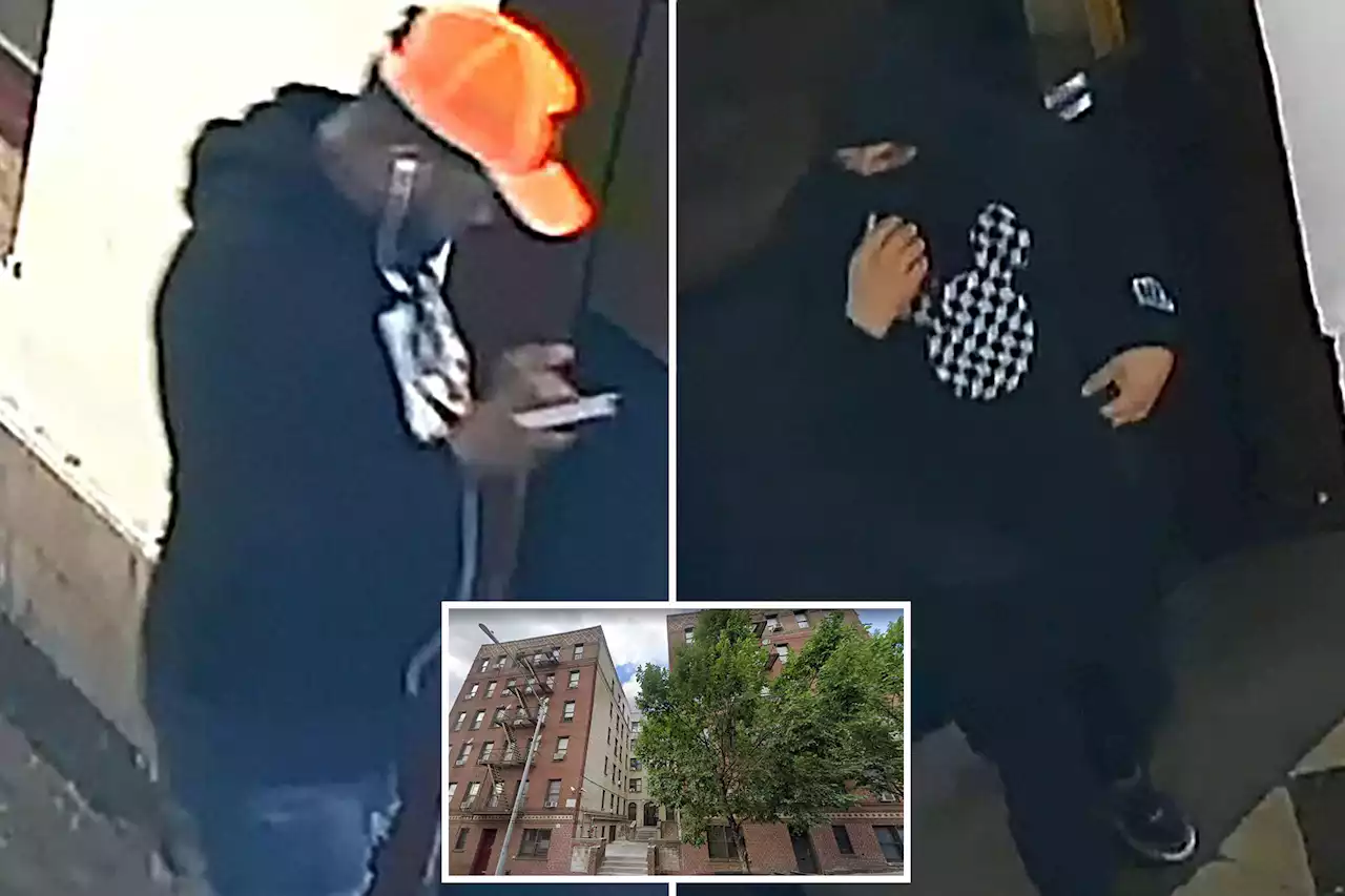 Armed robbers stabbed woman inside NYC home and stole safe holding $160K: cops