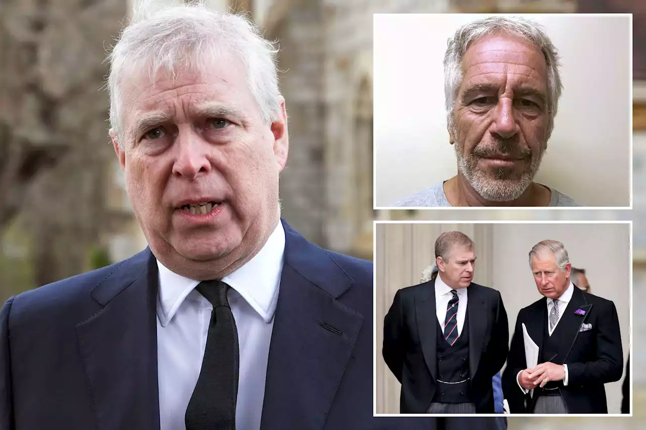 Prince Andrew’s rumored autobiography is a last resort to fix reputation: report