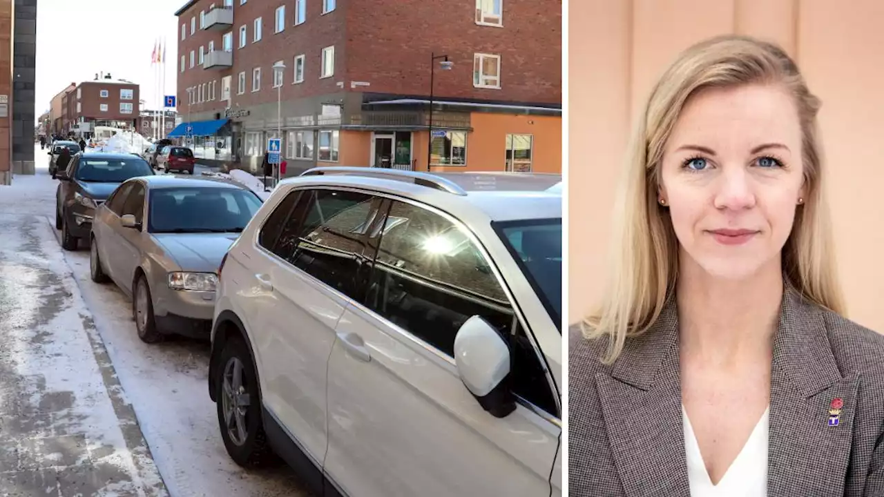 Rosi Hoffer: ”Inte sagt att vi ska ta bort en enda parkering”