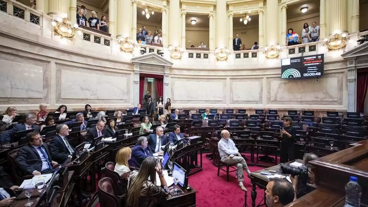 Senado: Juntos por el Cambio hizo caer la primera sesión del año | Se iban a tratar la Ley Lucio y la de Alcohol Cero