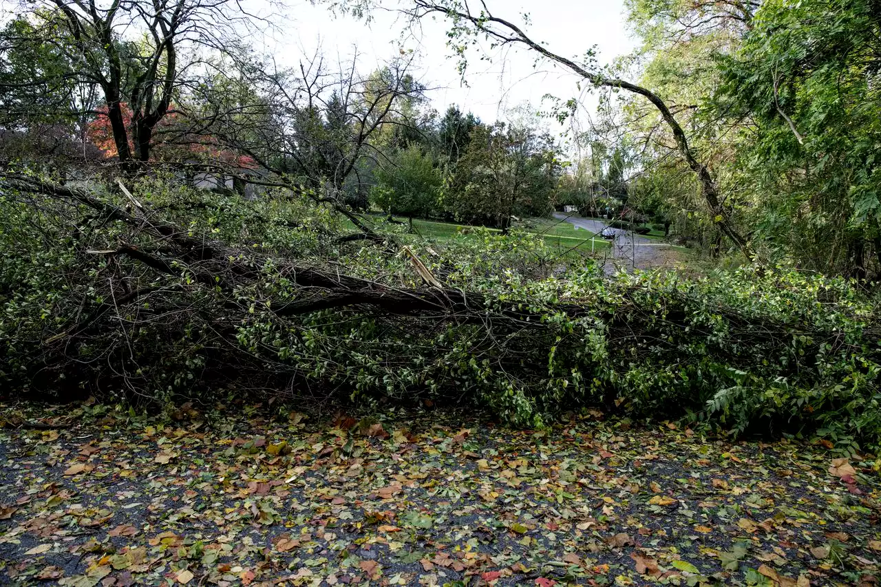 Dangerous winds on Saturday could lead to downed trees, power outages in central Pa.