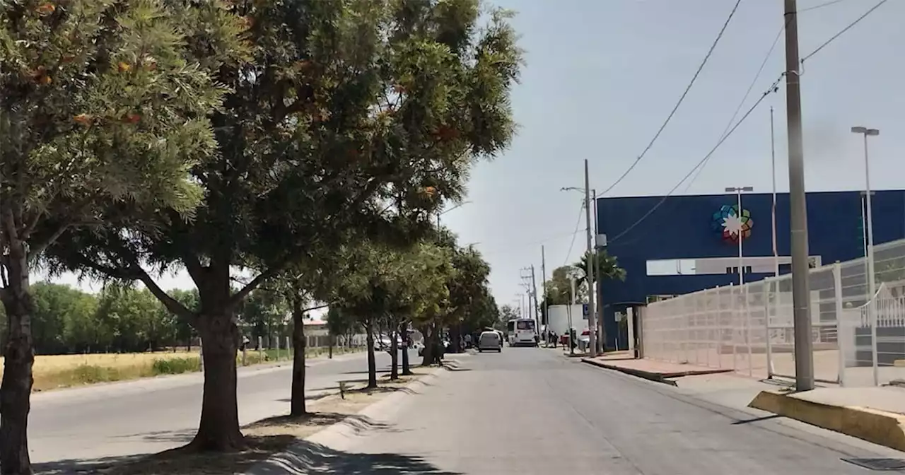 Basura y residuos insalubres sufren vecinos del Hospital General de Salamanca