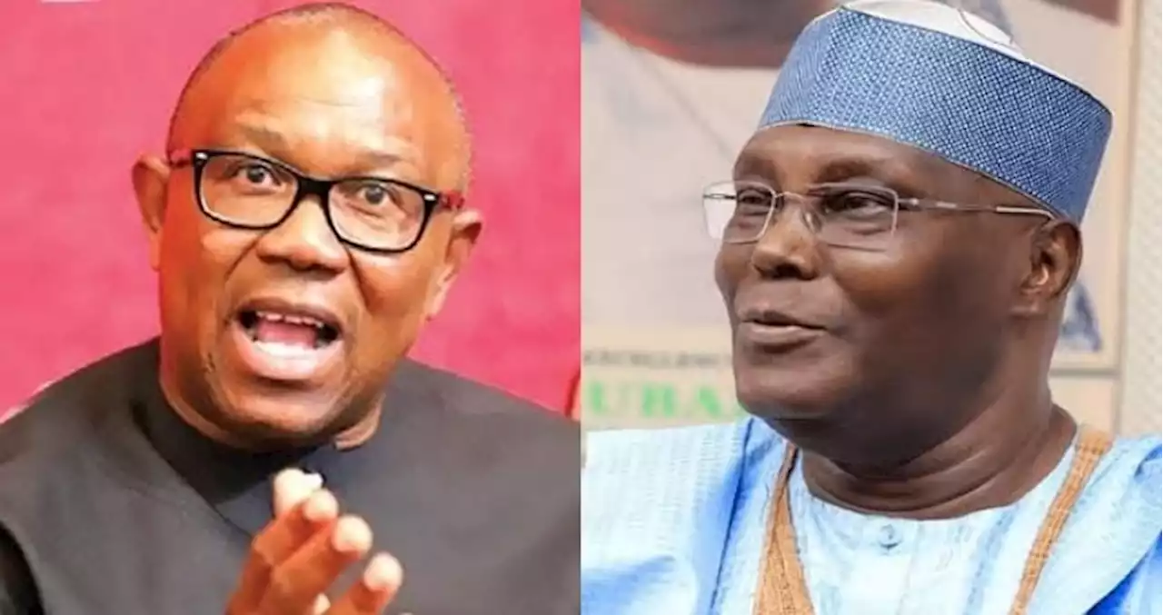 Nigerian Tweeps React As PDP Chieftain, Chidoka Reveals Atiku Seeks Alliance With Peter Obi | Sahara Reporters