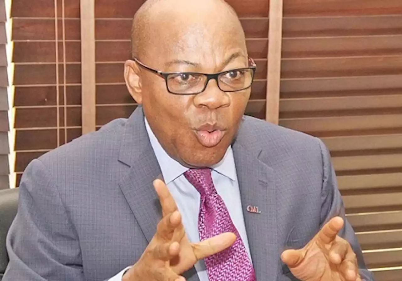 No Interim Government In Nigerian Constitution; Punish Aggrieved Persons Behind 'Nonsensical' Plot –Olisa Agbakoba | Sahara Reporters