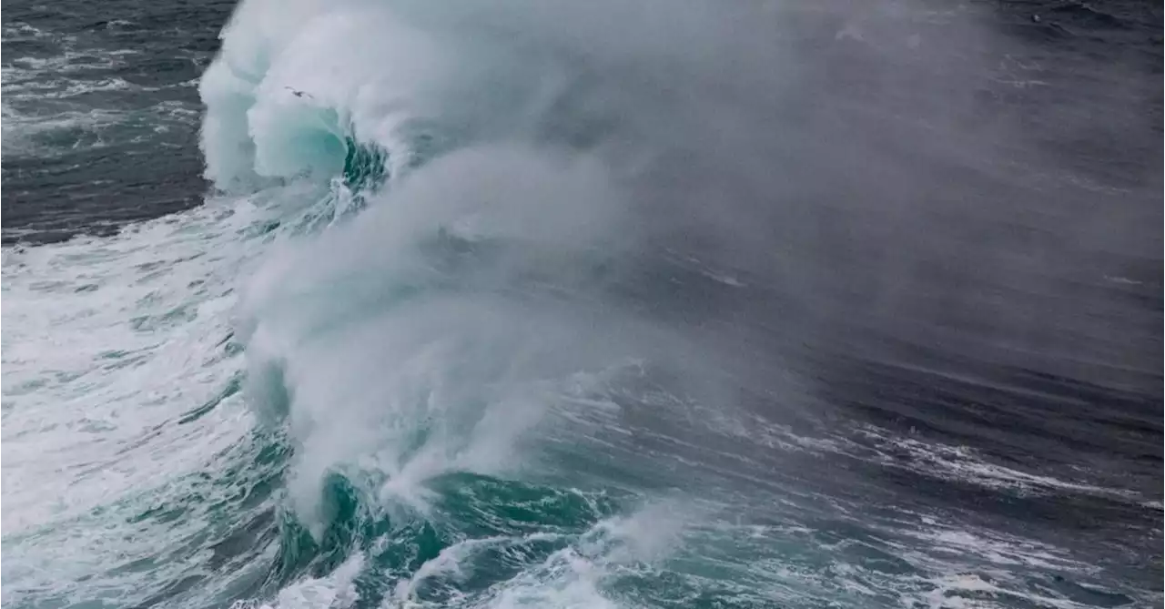 WEATHER PHOTO: Powerful waves near St. John's, N.L. | SaltWire