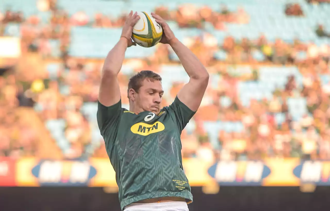 Bulls clash has extra edge for Bok flank Elstadt