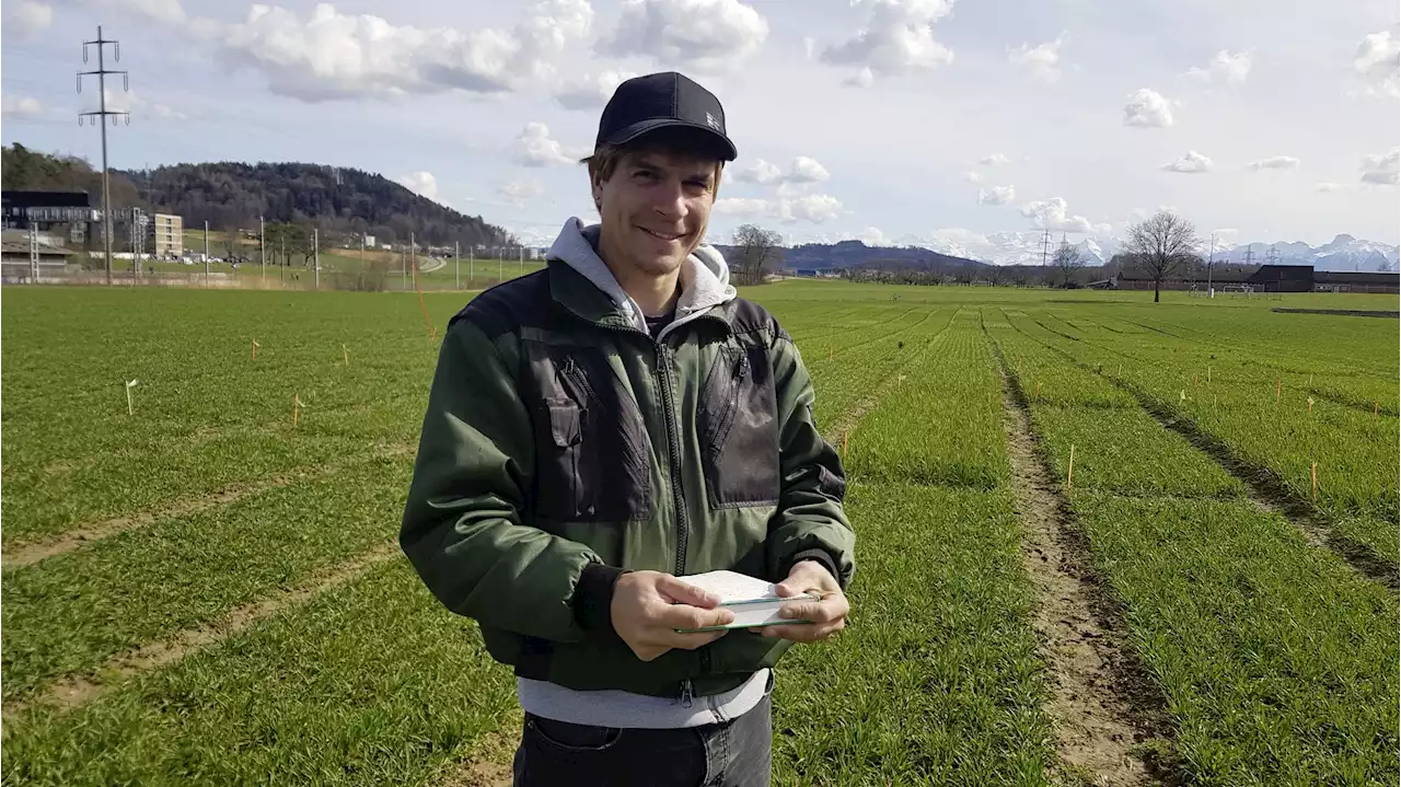 Ahoi! Hier bin ich wieder - Schweizer Bauer