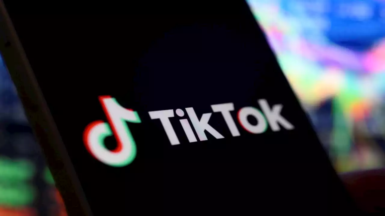 Coalition has a ‘goldfish&#8217; memory when it comes to TikTok: Peter Khalil
