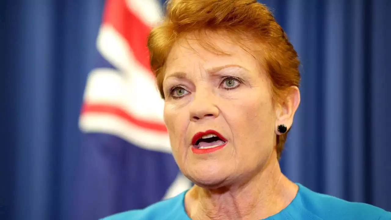 Pauline Hanson demands Mark Latham apologise for ‘disgusting’ tweet