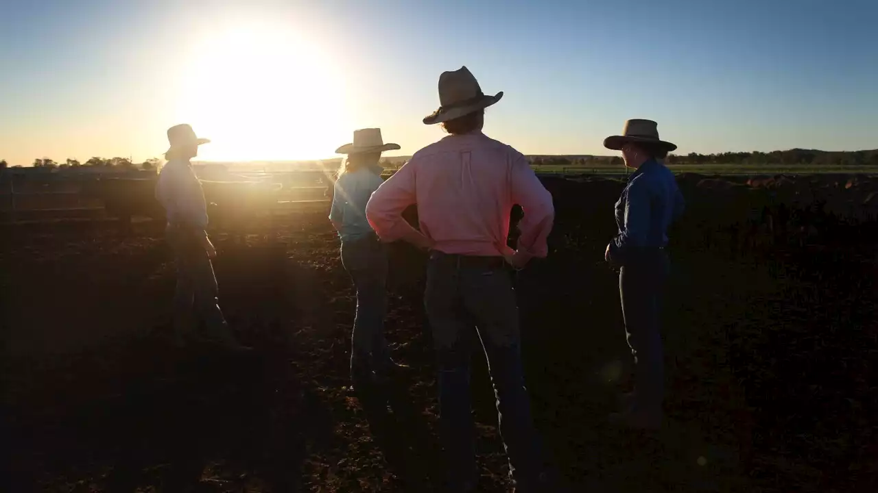 ‘We want to save lives’: Calls for more mental health resources for farmers