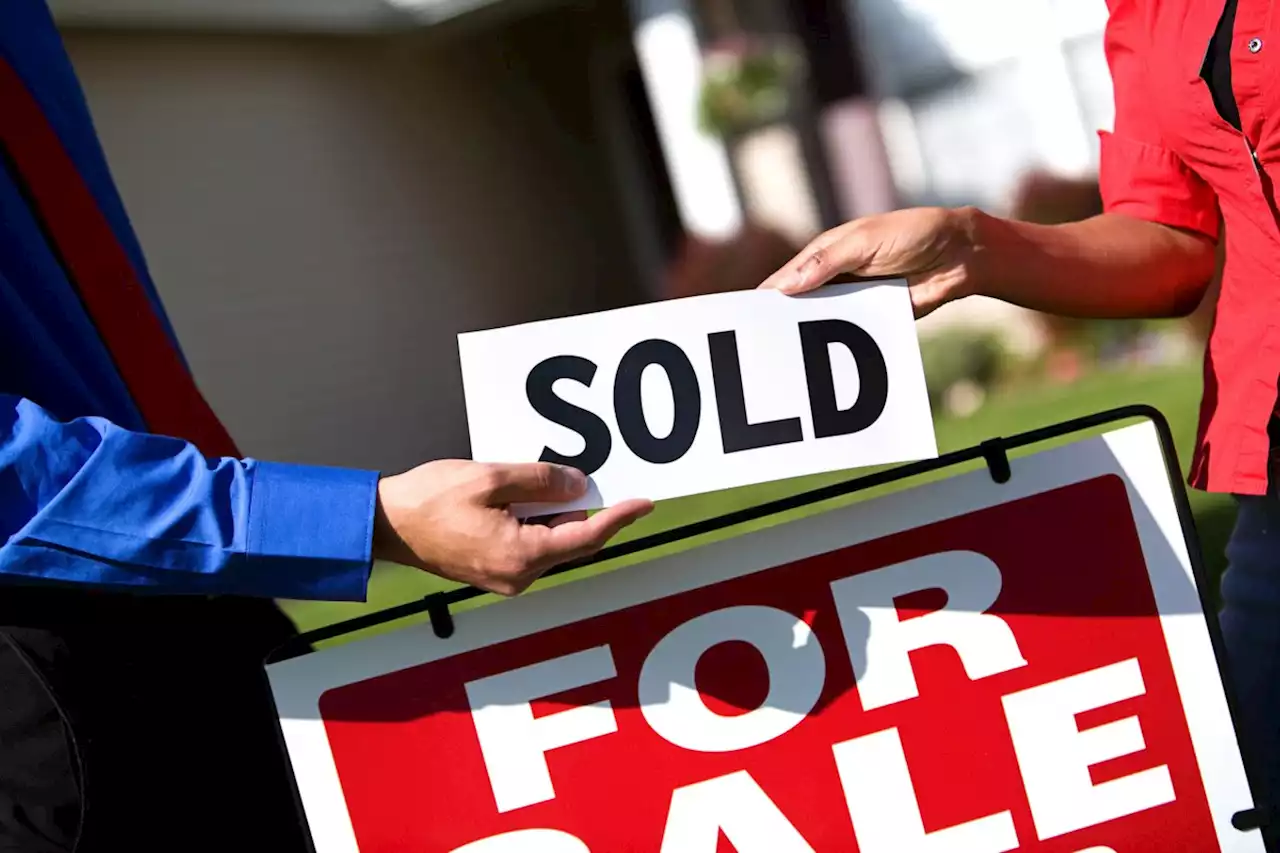 Race for recreational properties in Algoma beginning to slow: report