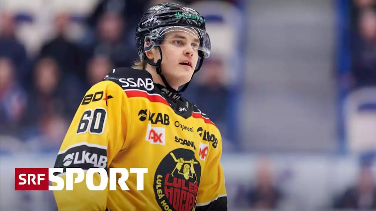 News aus dem Eishockey - Zugang für nächste Saison: Ex-NHL-Erstrundendraft für den SCB