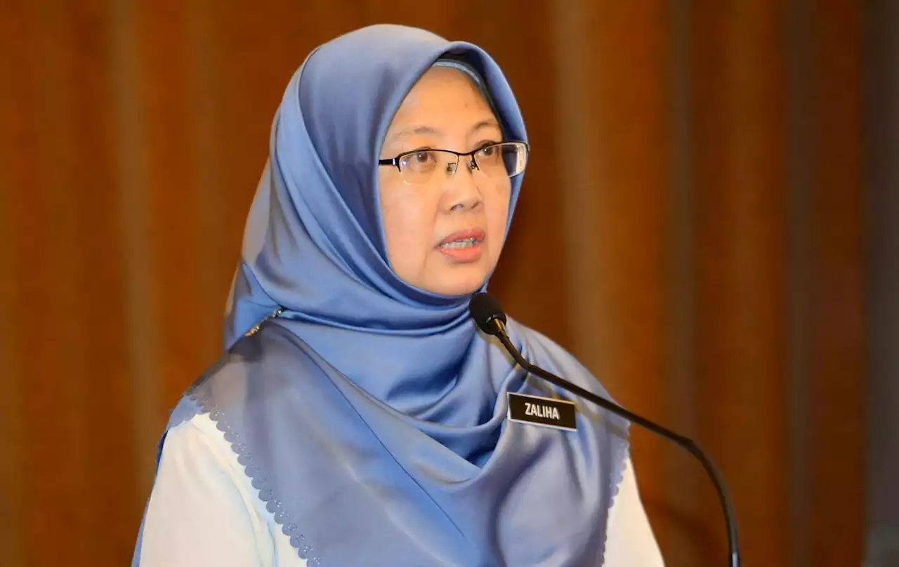 Govt to ensure formation of healthcare reform commission, says Dr Zaliha