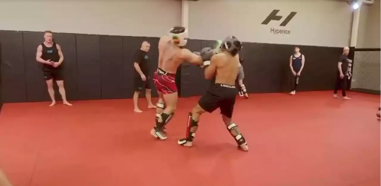 McGregor lands hellacious uppercut during The Ultimate Fighter sparring session