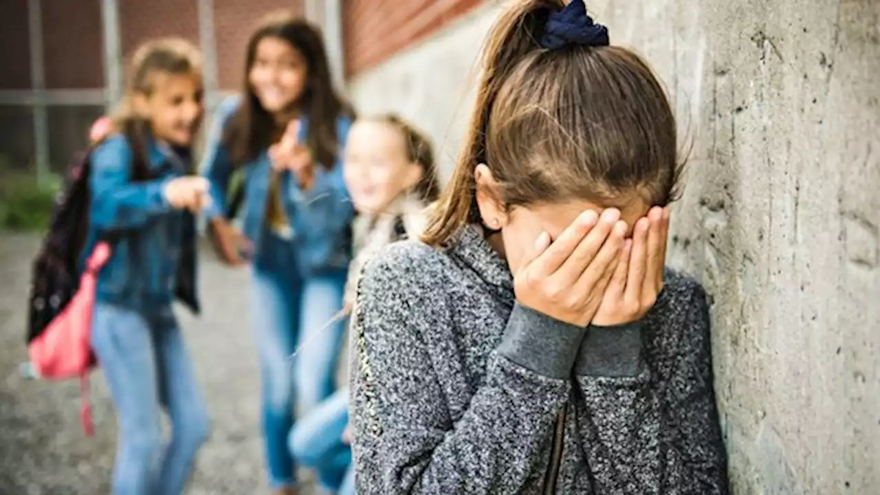 Bullying: más de la mitad de los estudiantes aseguran que hay discriminación en la escuela