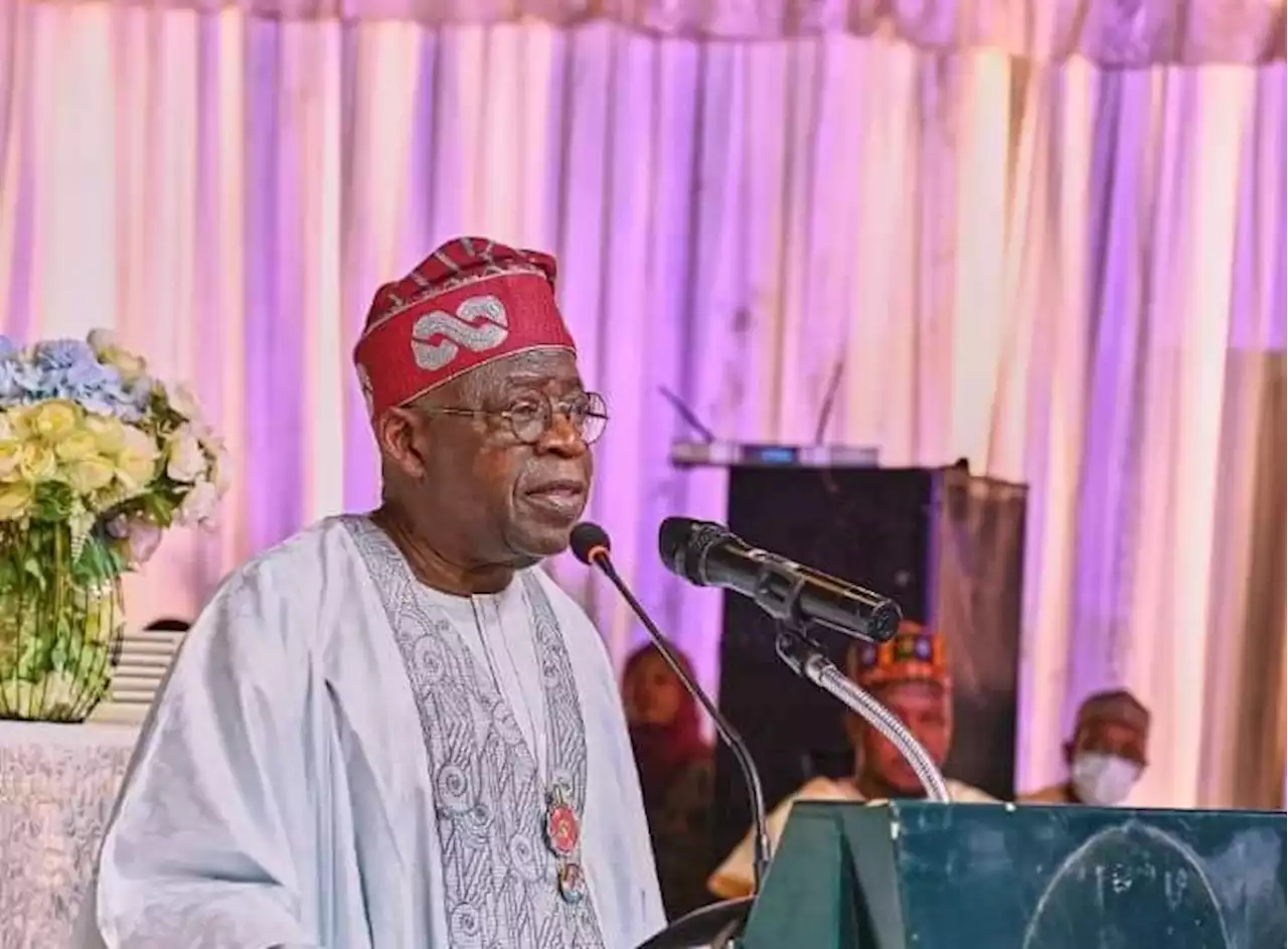 Reserve 35% appointment for women in your cabinet, CSOs tell Tinubu | TheCable