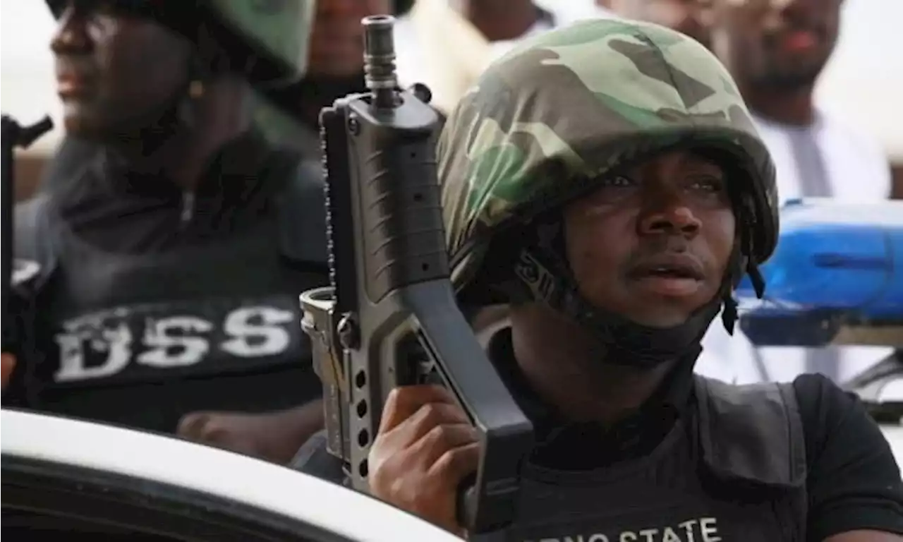 Plot to install interim government is real, says DSS | TheCable