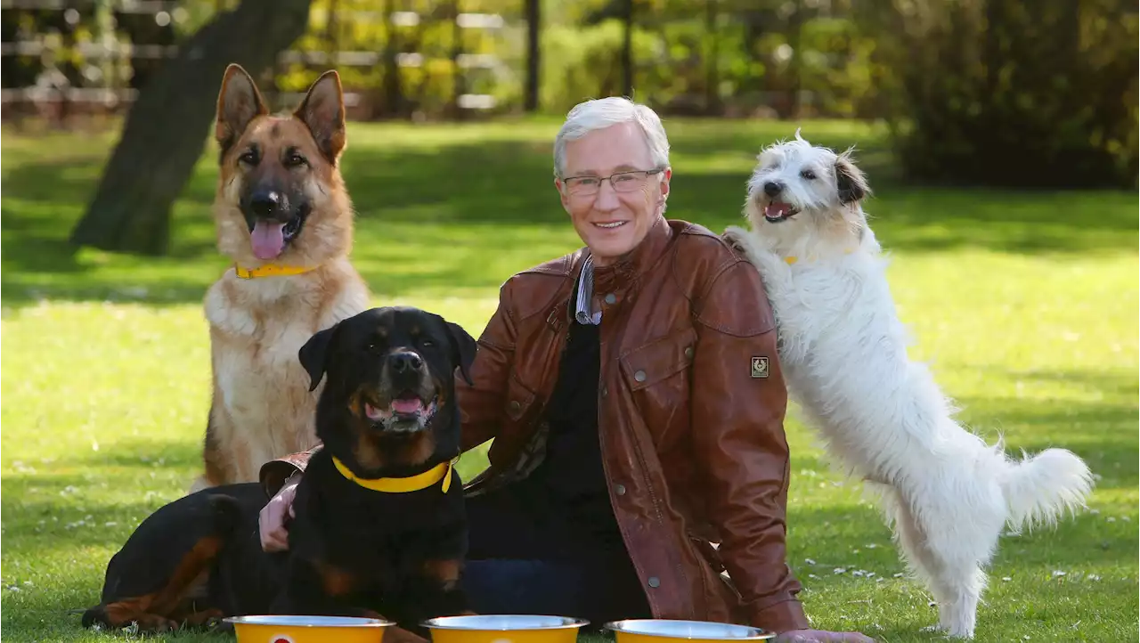 Paul O'Grady is a reminder that the very best people are always dog lovers