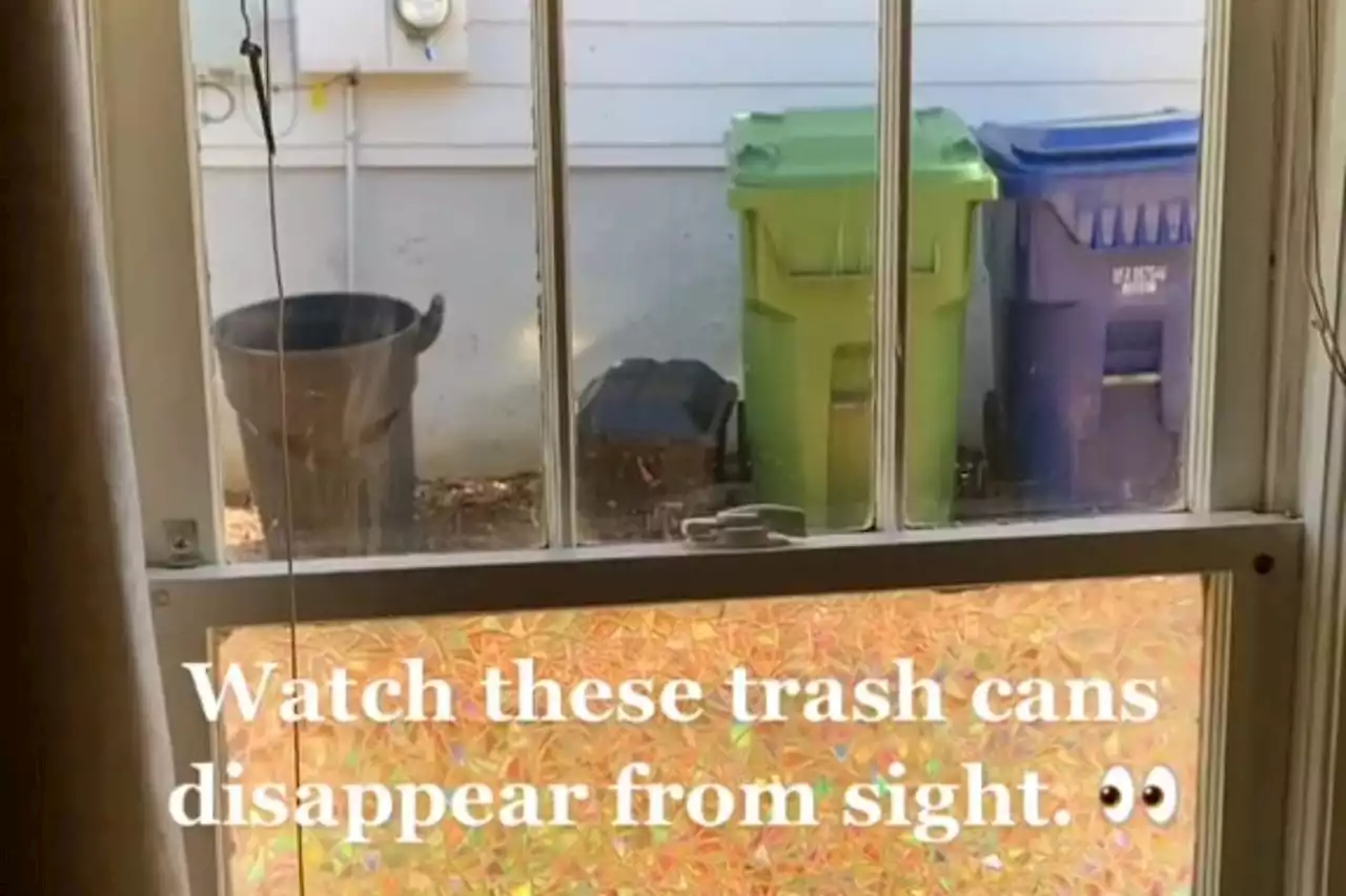 I was sick of staring at my neighbour’s bins so transformed my window for £5