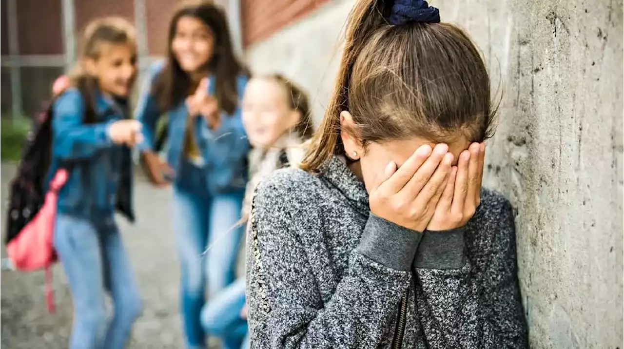 El 75% de los estudiantes de secundaria del país asegura que vio casos de bullying en su escuela