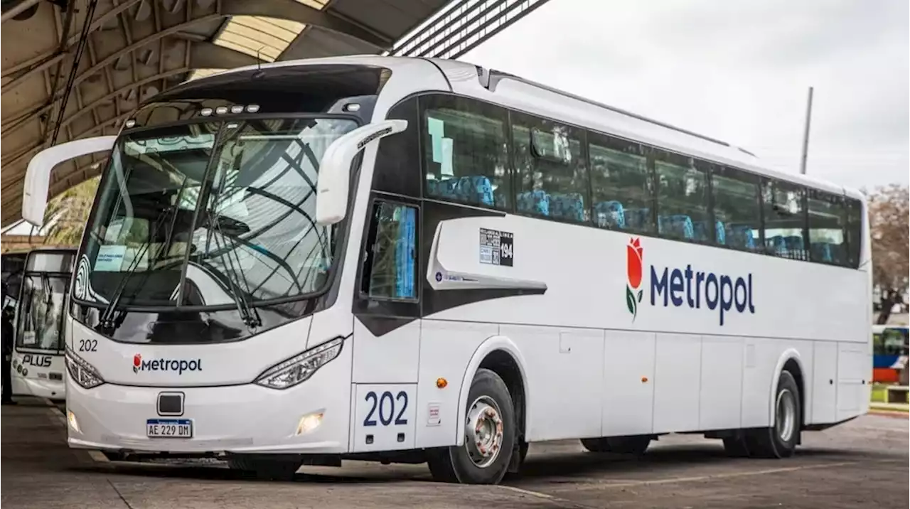 Tres líneas de colectivos que operan en AMBA realizan un paro por tiempo indeterminado