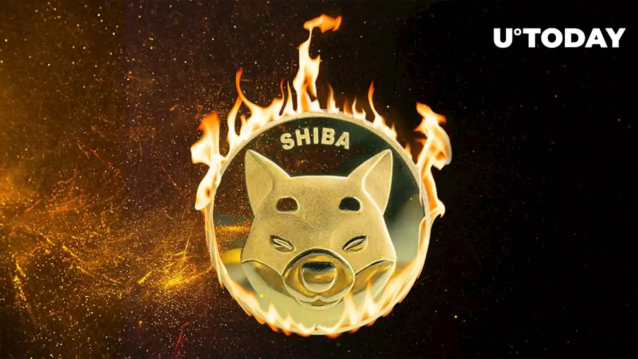 More Than 8 Million Shiba Inu Tokens Burnt as Meme Coin Takes Breather, Here Are Next Moves to Watch