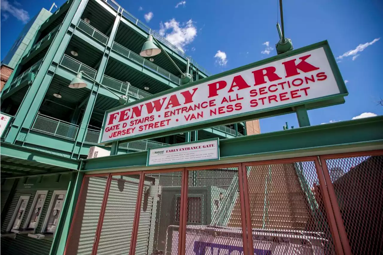 What's new at Fenway Park this year, from security screening to avocado fries