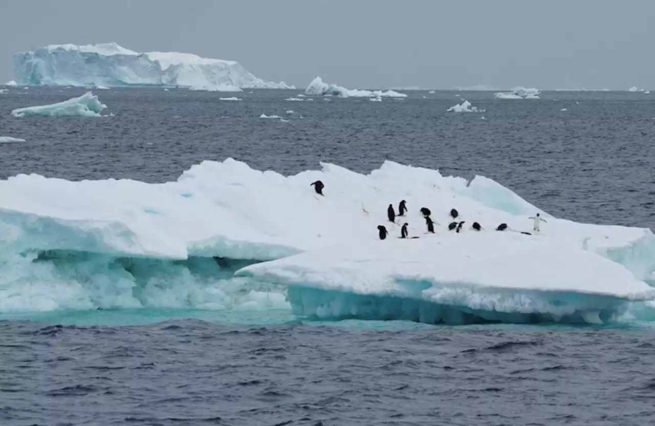 Rising Antarctic ice melt will dramatically slow global ocean flows - study