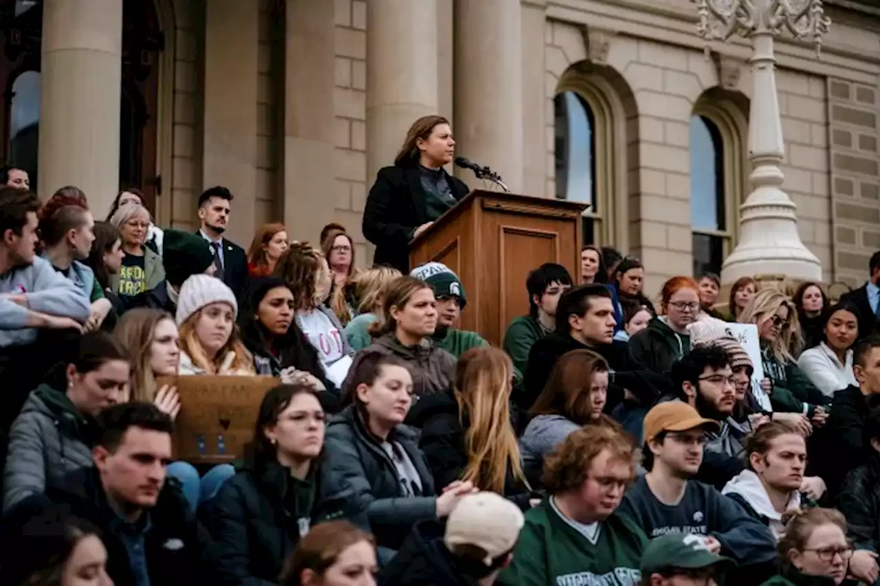 Michigan Democrats Rise, and Try to Turn a Battleground Blue