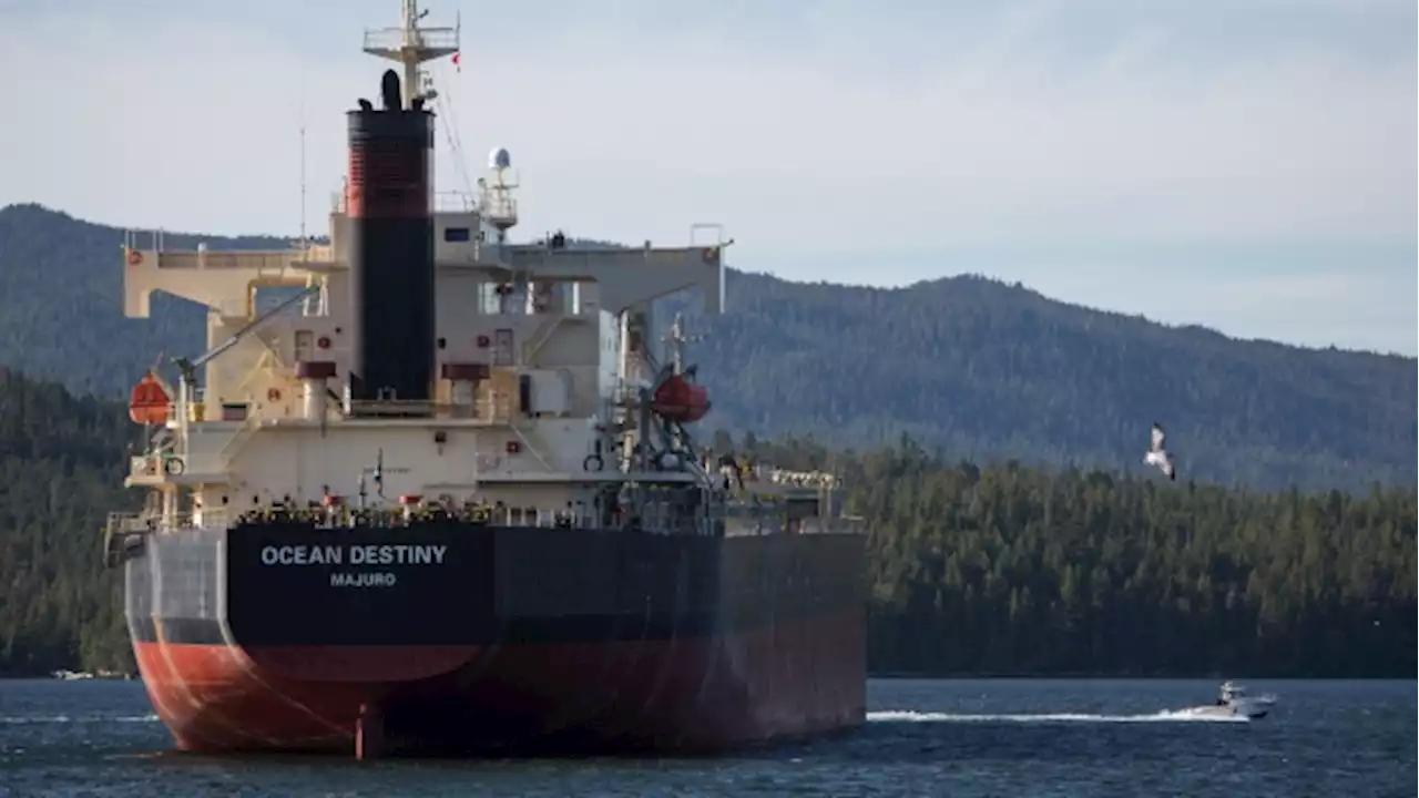 Canada's economy shows surprising resilience despite rate hikes - BNN Bloomberg