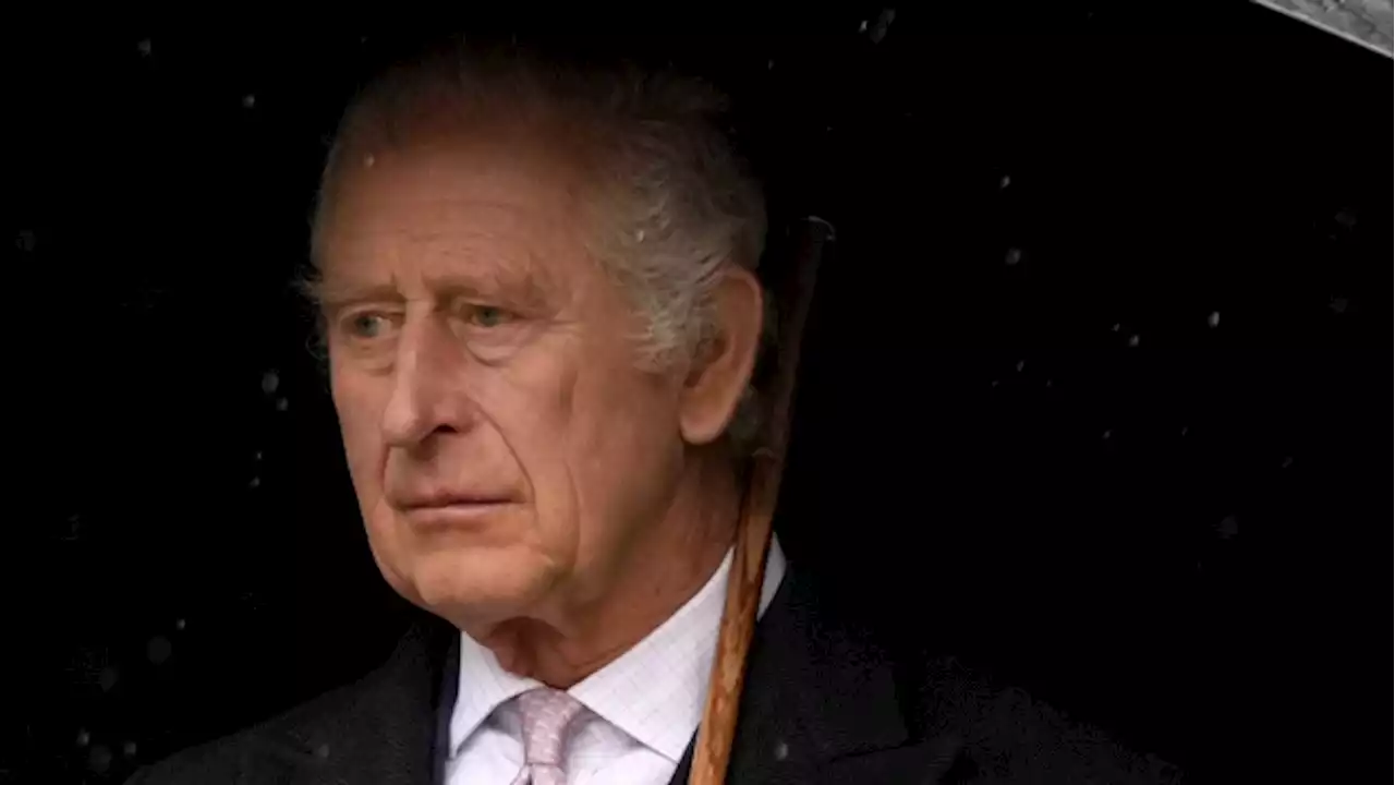 Charles III commorates WWII dead, child refugees in Hamburg