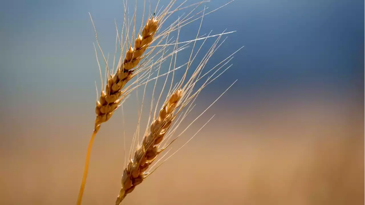 House passes bill creating carve-outs for farmers in Canada's carbon pricing scheme