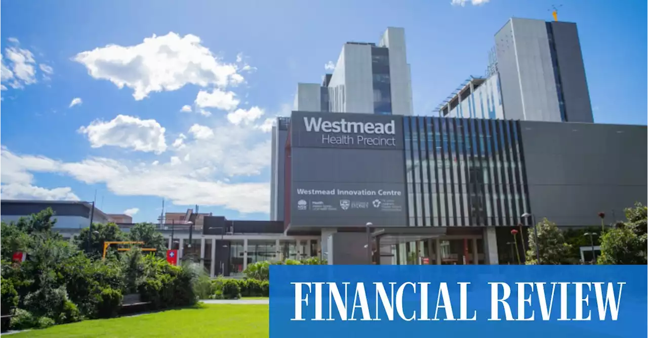 Westmead health precinct moves into big league to lure researchers