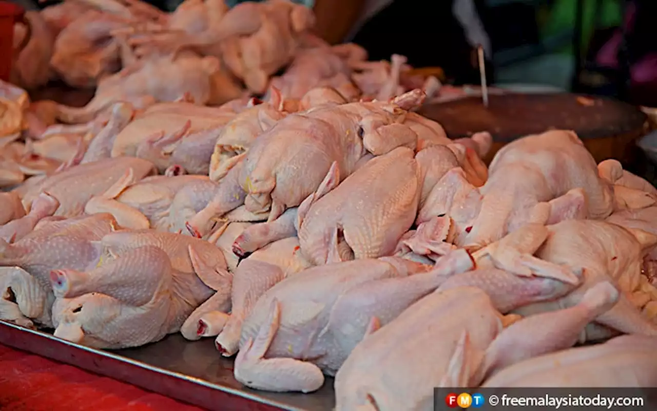 Ayam pasar raya Kuala Kangsar sembelih ikut syarak, kata JAIPk