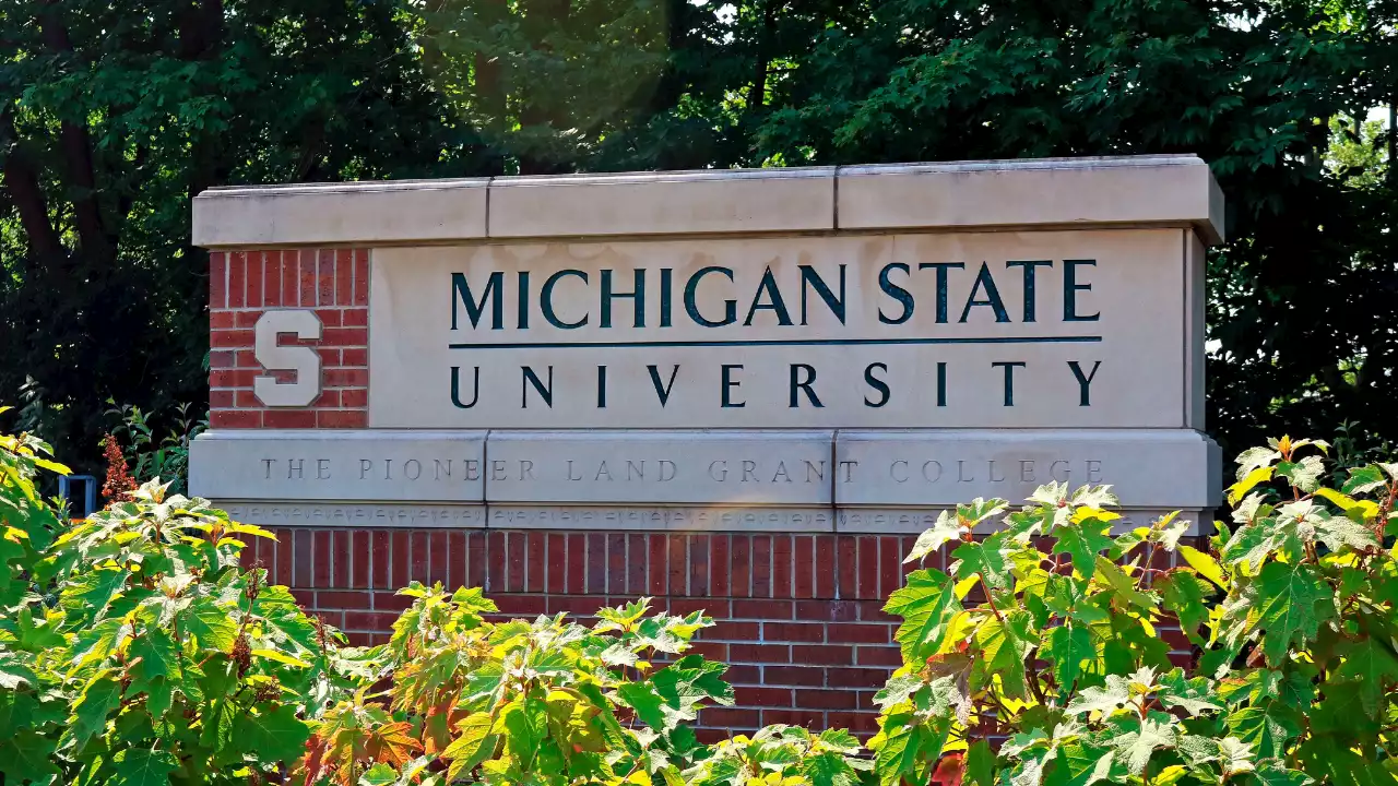 Michigan State’s language guide chides against using words like 'America,' 'Christmas tree' or 'bunny'