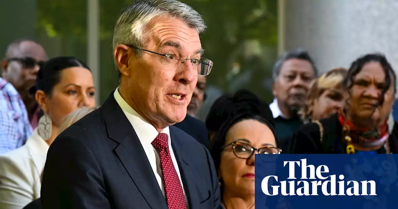 Mark Dreyfus rejects human rights commissioner’s claim Indigenous voice would undermine principles of equality