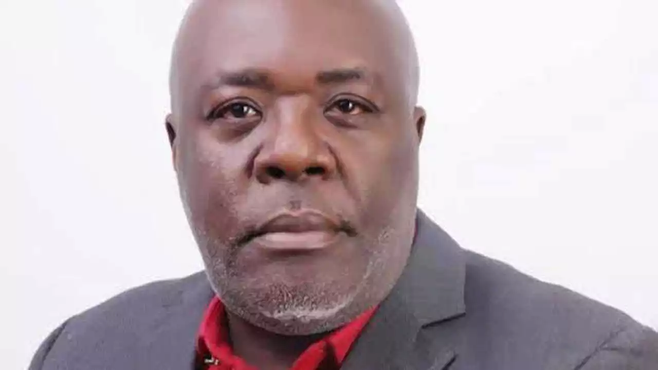 Njoku urges unity in APGA to secure victory in Imo, Kogi, Bayelsa