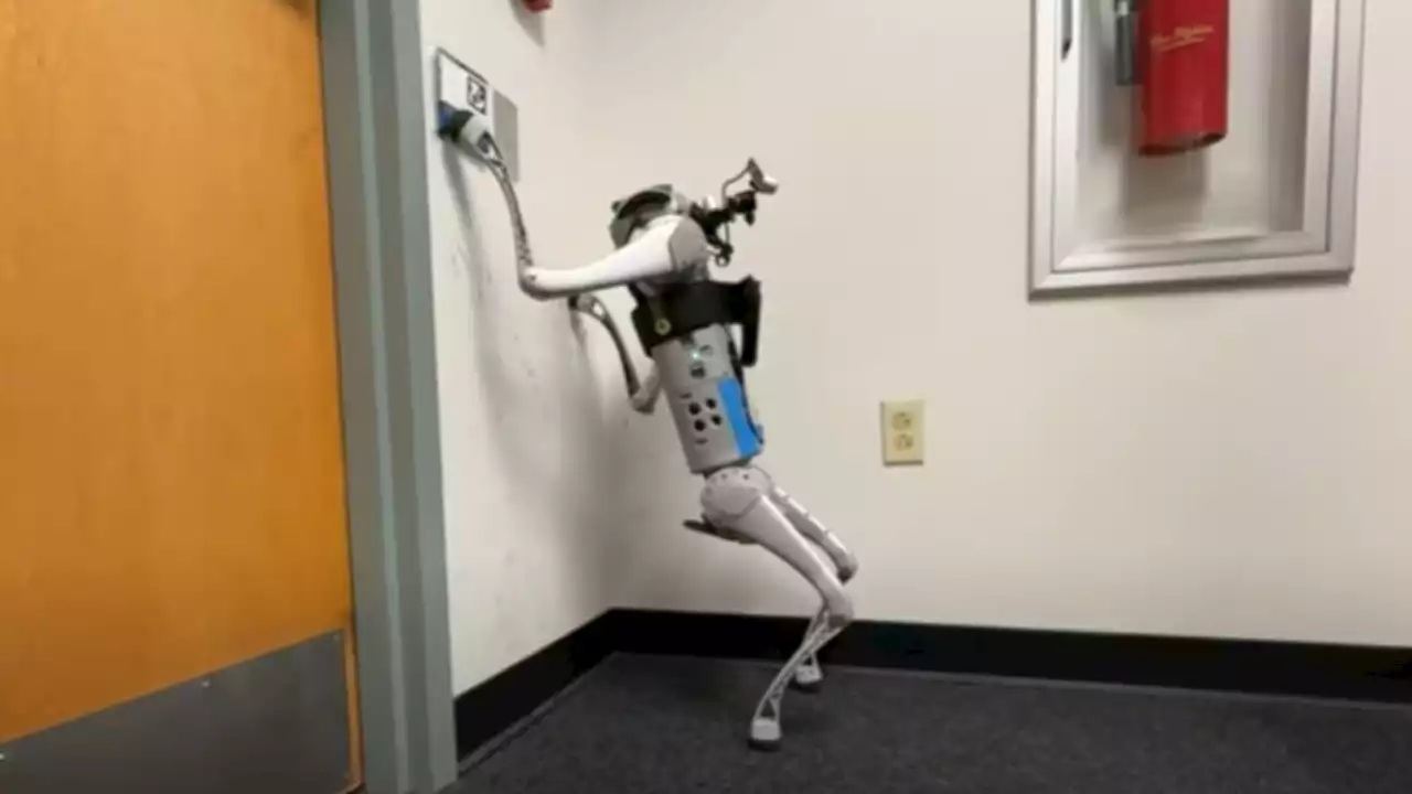 Watch robotic dog perform new tricks you haven't seen before