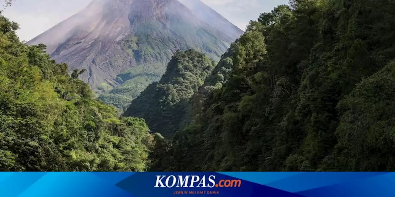 24 jam Terakhir, Gunung Merapi Keluarkan 2 Kali Awan Panas Guguran dan 51 Guguran Lava