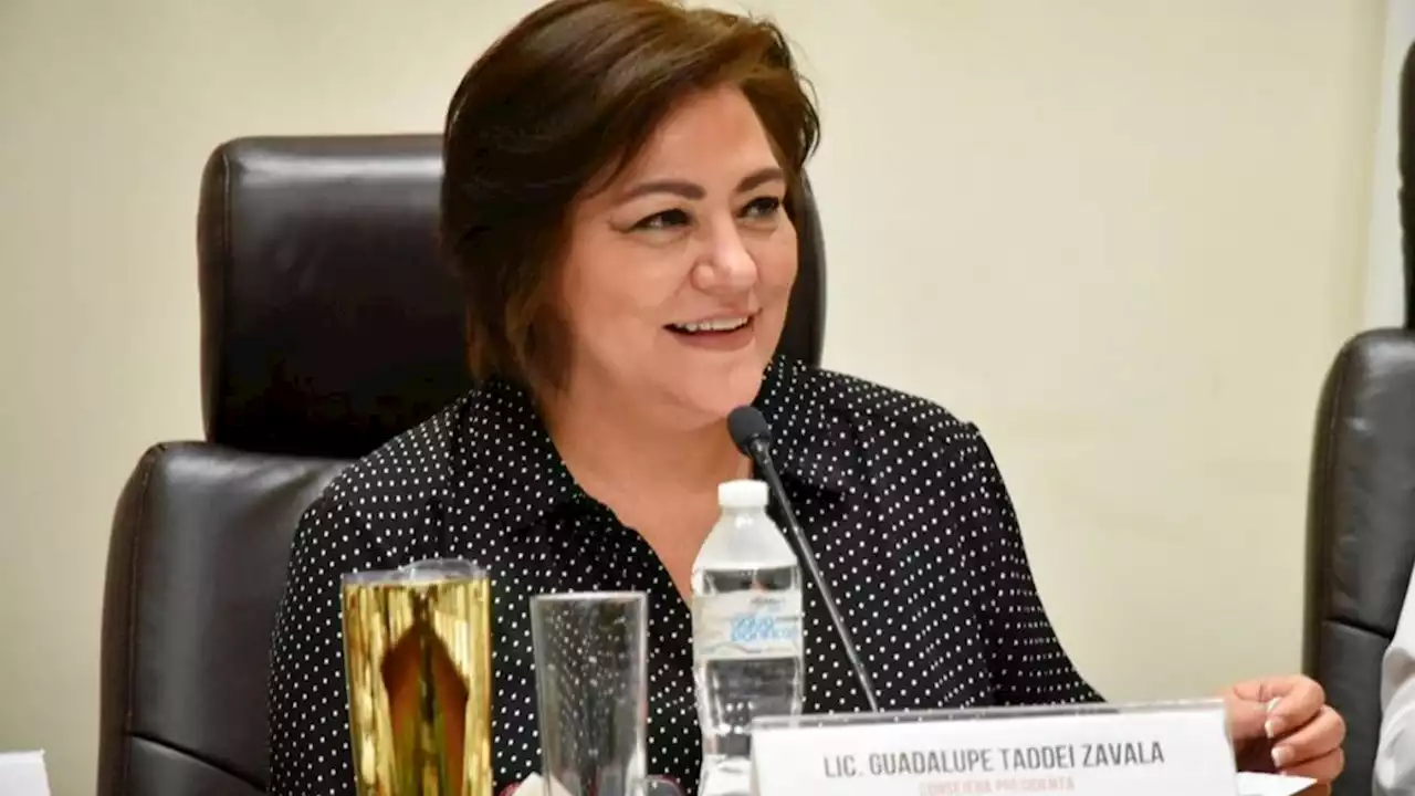 Estas serán las actividades de Guadalupe Taddei Zavala como presidenta del INE