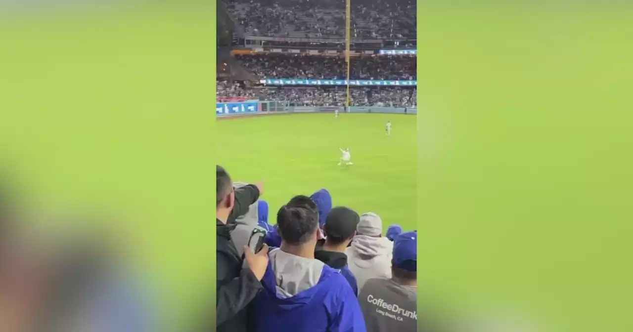 Dodger fan's proposal ends with tackle in the outfield