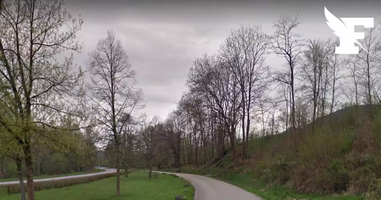 Tempête Mathis : un homme tué par la chute d'un arbre dans les Vosges