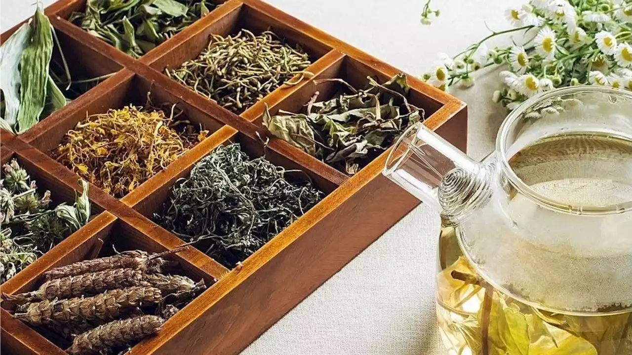 5 Jenis Tisane, Minuman Herbal yang Mirip Teh untuk Buka Puasa