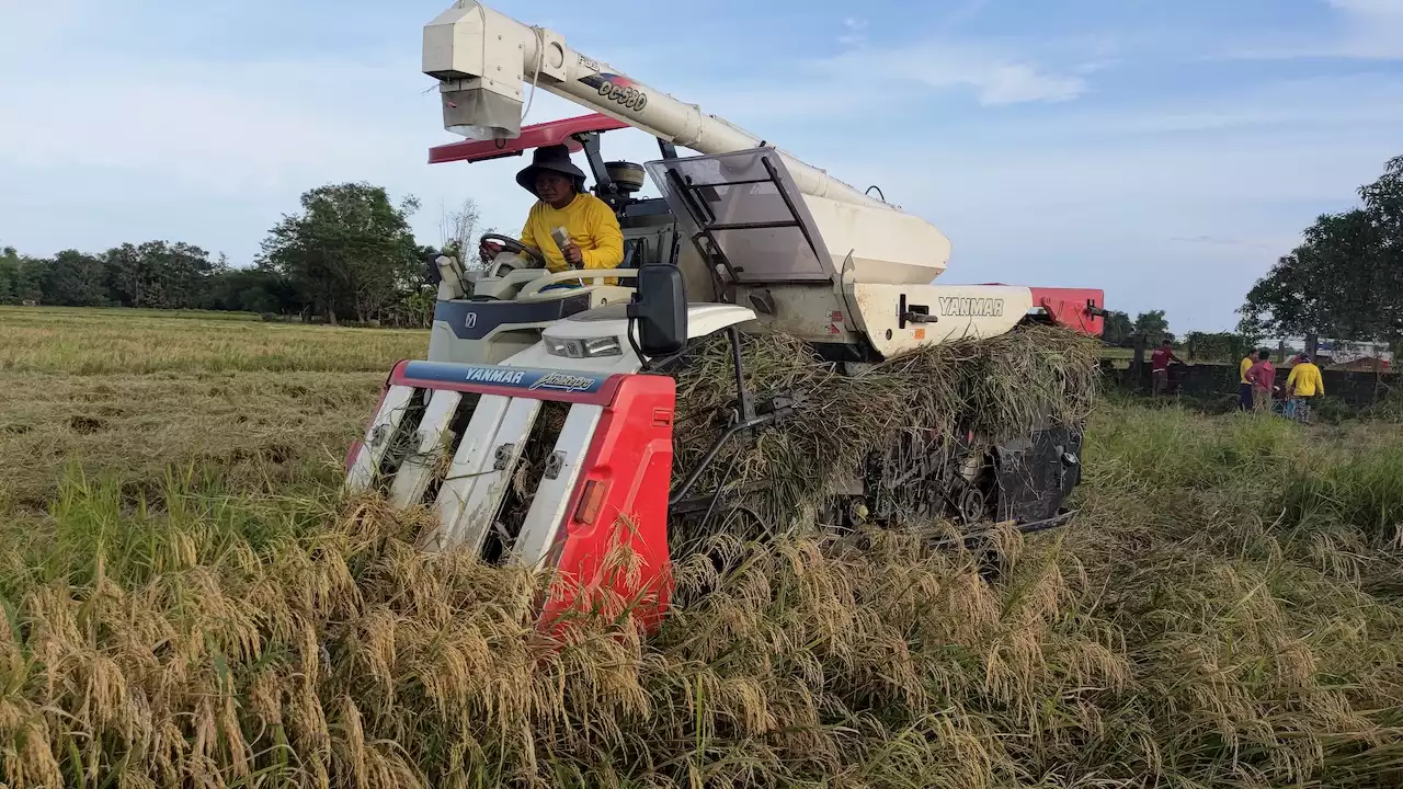 Extracting methane from rice straw to produce clean fuel