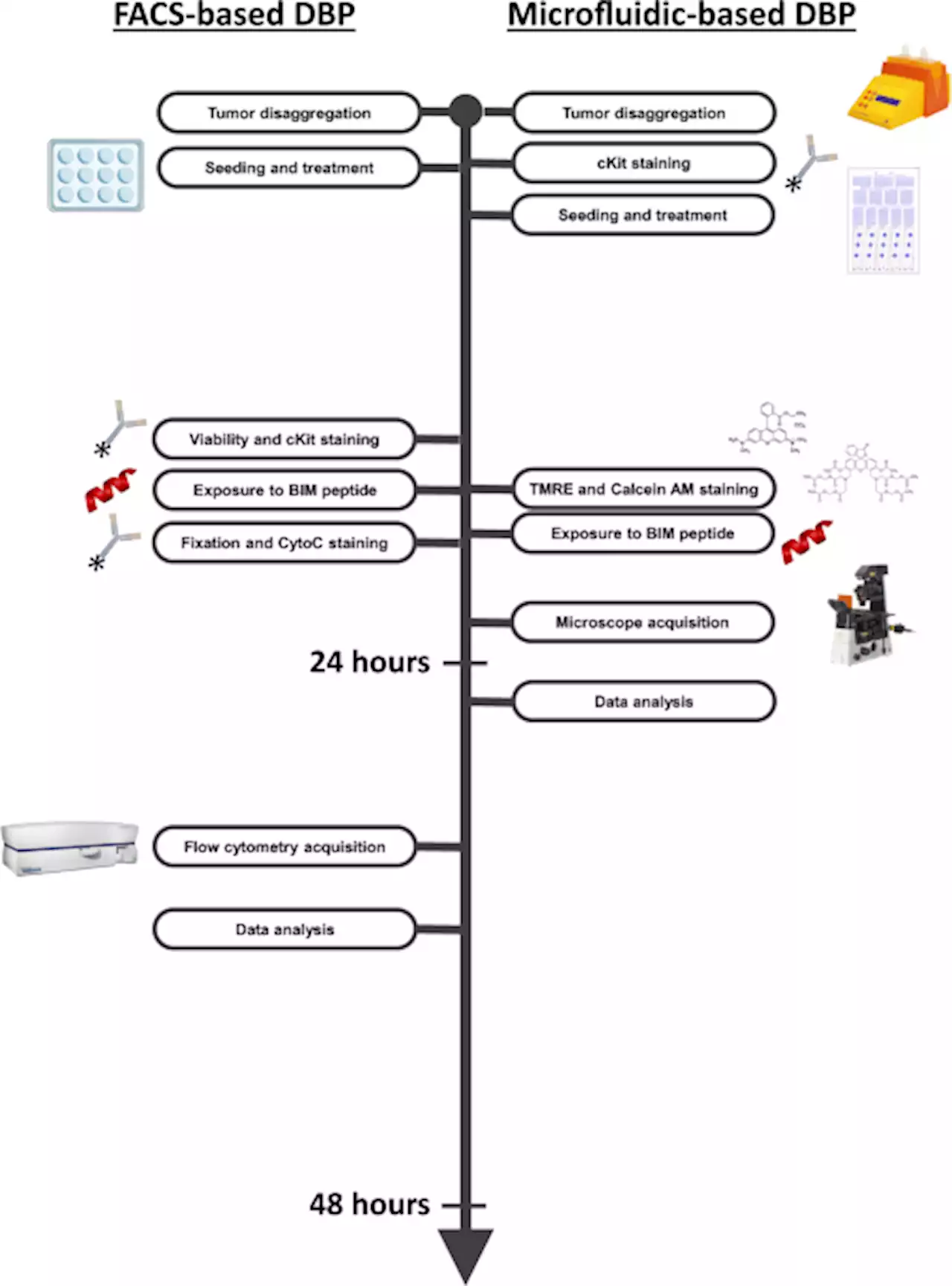 Microfluidic-based dynamic BH3 profiling predicts anticancer treatment efficacy - npj Precision Oncology