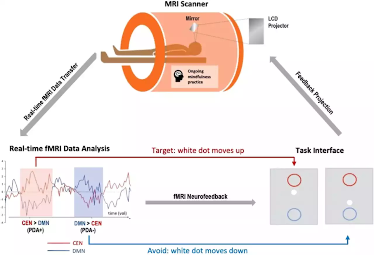 Reducing default mode network connectivity with mindfulness-based fMRI neurofeedback: a pilot study among adolescents with affective disorder history - Molecular Psychiatry