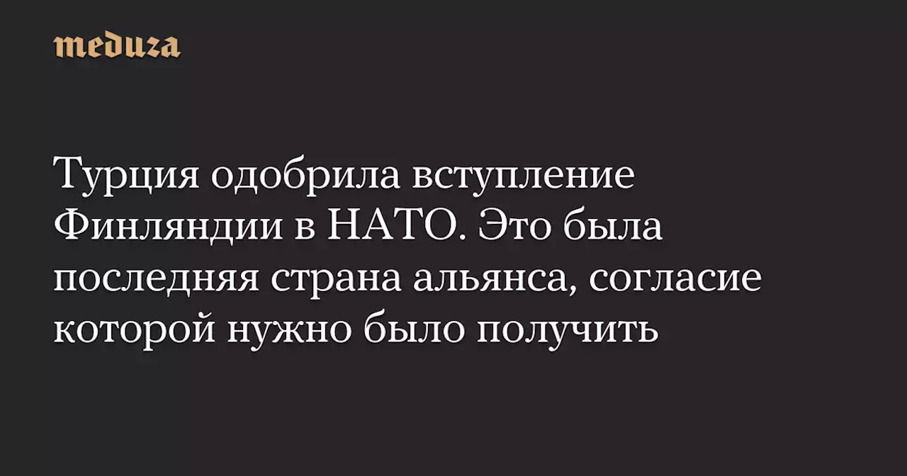 Турция одобрила вступление Финляндии в НАТО. Это была последняя страна альянса, согласие которой нужно было получить — Meduza