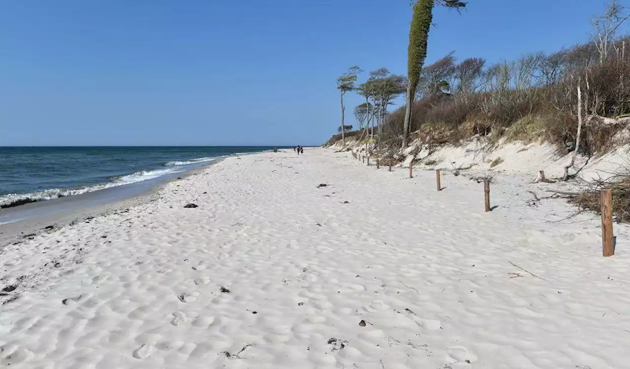 Es muss nicht immer Sylt sein: Die zehn besten Alternativen zur Luxus-Insel (M+)