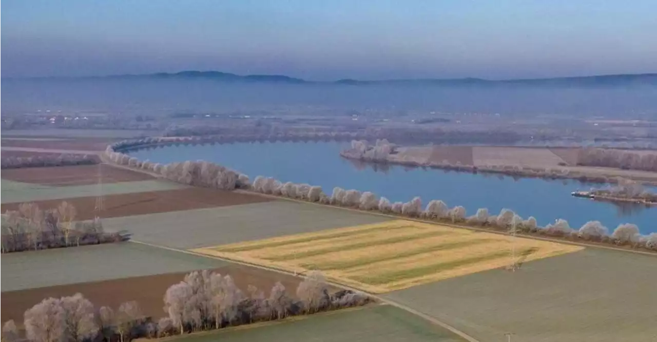 Mehr Zeit für Kritik am Polder: Raumordnungsverfahren wird unterbrochen