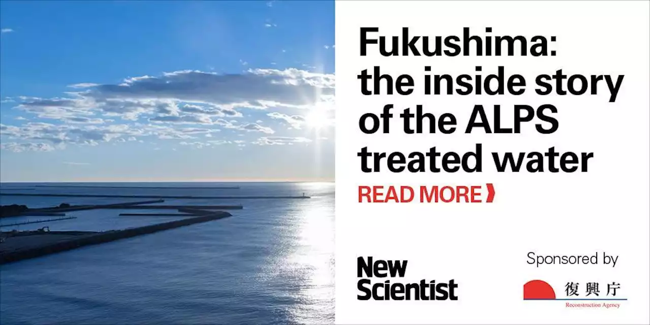 Fukushima: the inside story of the ALPS treated water